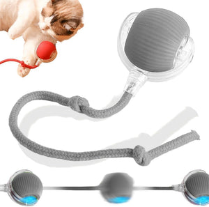 PELOTA DE JUGUETE INTERACTIVA PARA ANIMALES (PERROS Y GATOS)